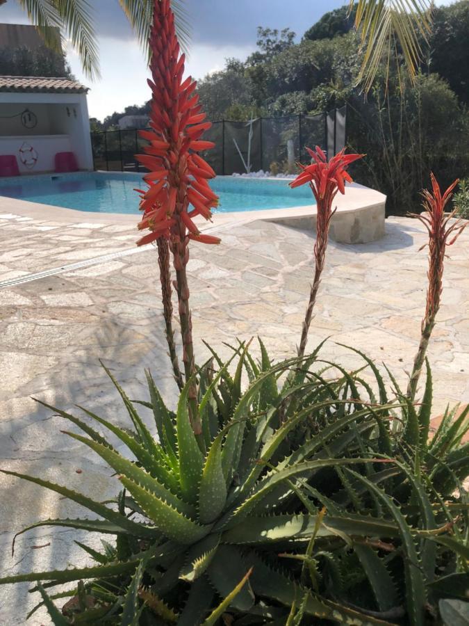 Apartmán Maxima Sunset Sainte-Maxime Exteriér fotografie